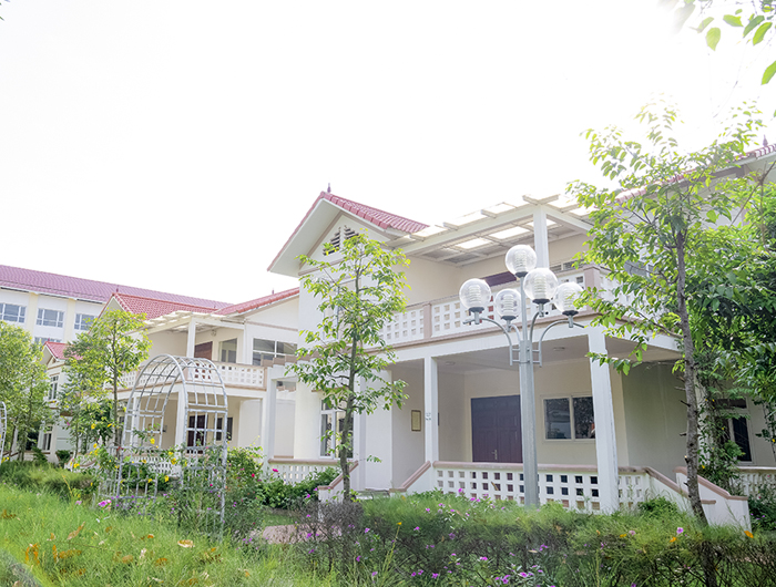 bg_image